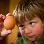 Врач-диетолог: холестерин не страшен, если съедать в сутки от трех до пяти яиц