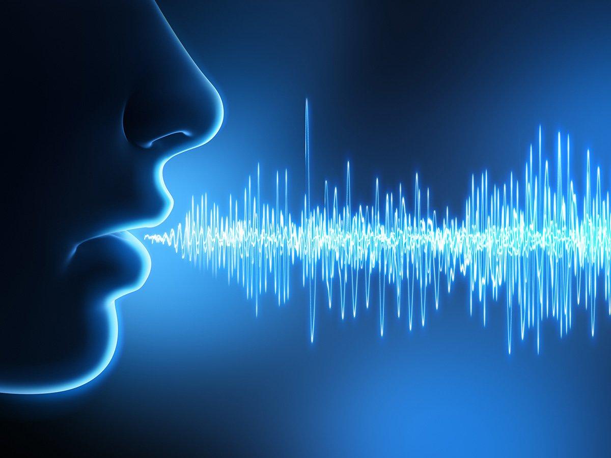 Определять человека по голосу. Волны вибрации. Искусственный интеллект звук. Речь. Тон голоса.