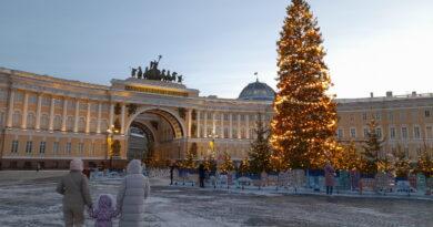 Высота — 25 метров. Главная новогодняя елка Петербурга приедет из Выборгского района Ленобласти