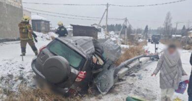 Во Всеволожском районе ЛО Toyota улетела в кювет, 10-летняя девочка госпитализирована