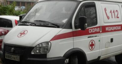В Приозерском районе Ленобласти «Лада» сбила девочку на велосипеде, водитель скрылся