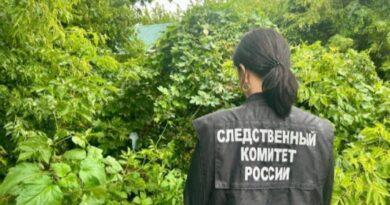 В Саратовской области трое детей отравились лесными ягодами, один ребенок скончался