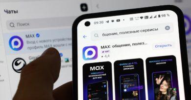 Министр: МАХ защитит персональные данные школьников, в нем не будет негативной и вредной для детей информации