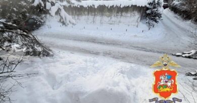 Выехал на дорогу. В Московской области 11-летний мальчик погиб во время катания с горки