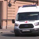 Без намордника. В Невском районе Петербурга пес укусил пятилетнюю девочку, которая хотела его потрогать