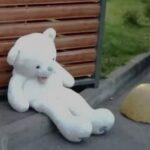 МИШКА ВОЗЛЕ МУСОРКИ