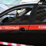 После отказа скорой госпитализировать девочку в Подмосковье возбуждено уголовное дело. О ходе его расследования представят доклад в СКР