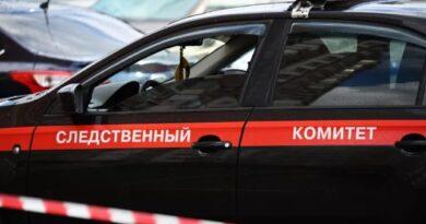 После отказа скорой госпитализировать девочку в Подмосковье возбуждено уголовное дело. О ходе его расследования представят доклад в СКР