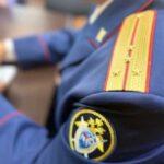 После нападения собаки на ребенка на Камчатке следователи начали проверку