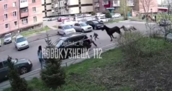 Фото: Телеграм-канал 112