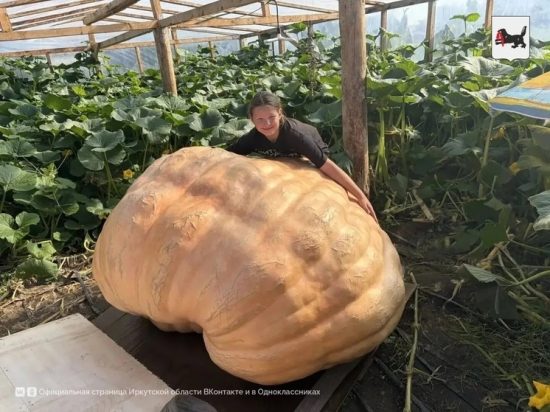 Фото: пресс-служба Правительства Иркутской области
