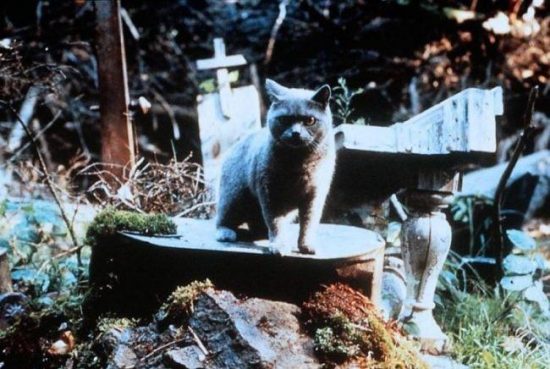 Фото: Кадр из фильма «Кладбище домашних животных» (1989) / Laurel Productions / Paramount Pictures.