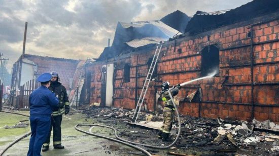 Фото: Прокуратура Ленинградской области.