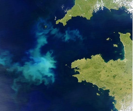 Фото: NASA / AFP через Getty. Цветение фитопланктона у берегов Франции в 2004 году. Более зеленый цвет океана за последние 20 лет может быть связан с повышенной активностью фитопланктона.
