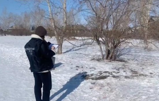Фото: пресс-служба ГСУ СКР по Красноярскому краю и Республике Хакасия