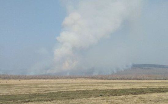 Фото: ГУ МЧС России по Забайкальскому краю
