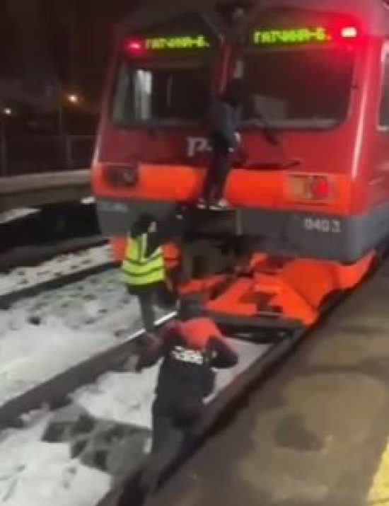 Фото: пресс-служба Управления на транспорте МВД России по Северо-Западному федеральному округу
