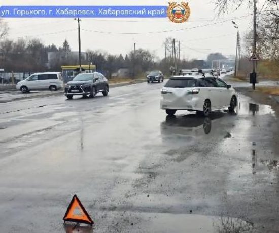 Фото: пресс-служба Госавтоинспекции Хабаровского края